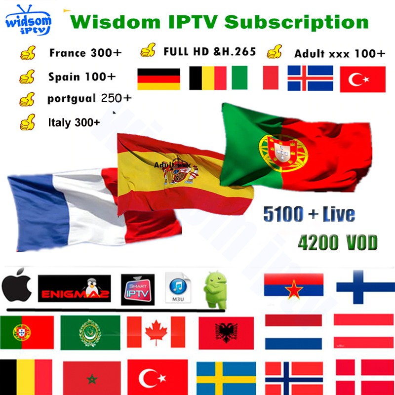 3 Months Wisdom IPTV France Europe Support for Android APK Smart tv iptv m3u